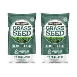 Kentucky 31 Tall Fescue 40 lb. 8,000 sq. ft. Grass Seed (2-Pack)