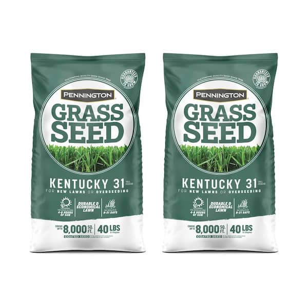 Pennington Kentucky 31 Tall Fescue 40 lb. 8,000 sq. ft. Grass Seed (2-Pack)