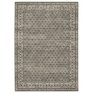 Channing Gray/Beige 6 ft. x 9 ft. Faded Geometric Border Polyester Fringe Edge Indoor Area Rug