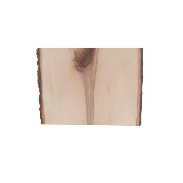 Walnut Hollow 1 in. x 10 in. x 1 ft. Rustic Basswood Plank Project Panel (3-Pack)