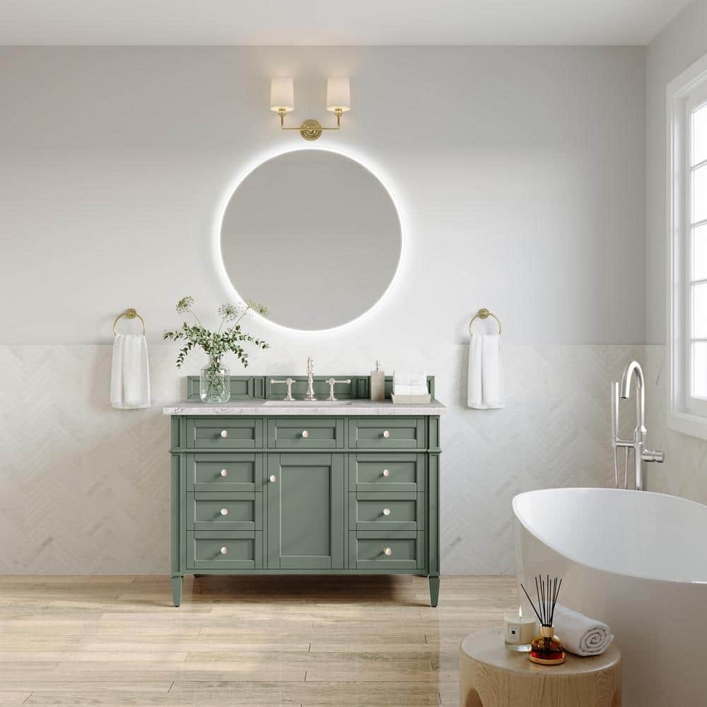 Brittany 48.0 in. W x 23.5 in. D x 33.8 in. H Bathroom Vanity in Smokey Celadon with Eternal Jasmine Pearl Quartz Top price history on PriceWatchPro