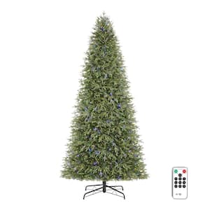 12 ft. Pre-Lit LED Jackson Noble Fir Artificial Christmas Tree