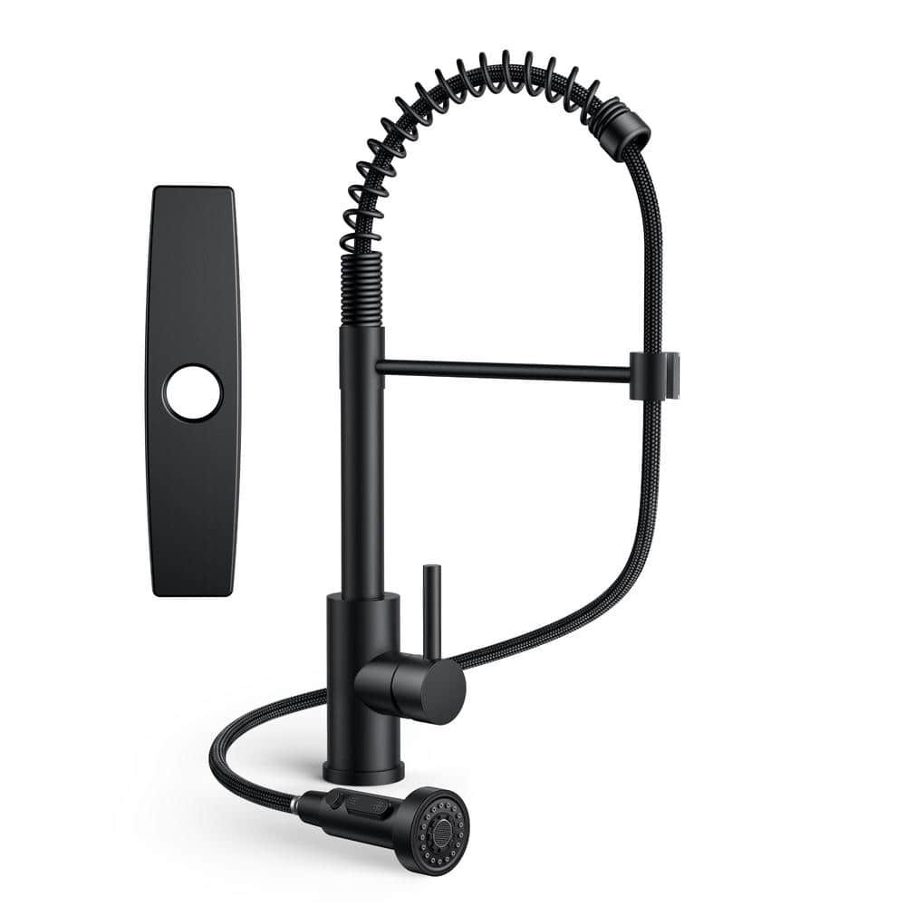 Single Handle Pull Down Sprayer Kitchen Faucet with Deckplate Pull Out Spra