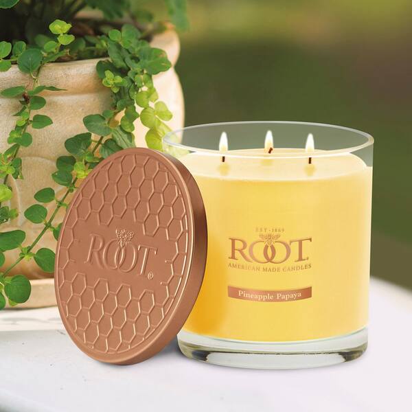 ROOT CANDLES Pineapple Papaya Fruit Scented 3-Wick Beeswax Blend Jar Candle