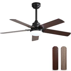42 in. Indoor 5 Two-color Blades Modern Black Downrod Ceiling Fan with Led Lights and 6 Speed DC Remote