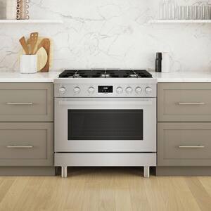 800 Series 36 in. 3.7 cu. ft. Industrial Style Dual Fuel Range with 6-Burners in Stainless Steel