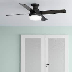 Dempsey 52 in. Indoor Matte Black Ceiling Fan with Remote and Light Kit Included