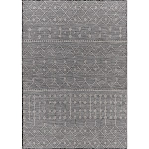 Laylani Dark Doormat 3 ft. x 4 ft. Indoor/Outdoor Area Rug