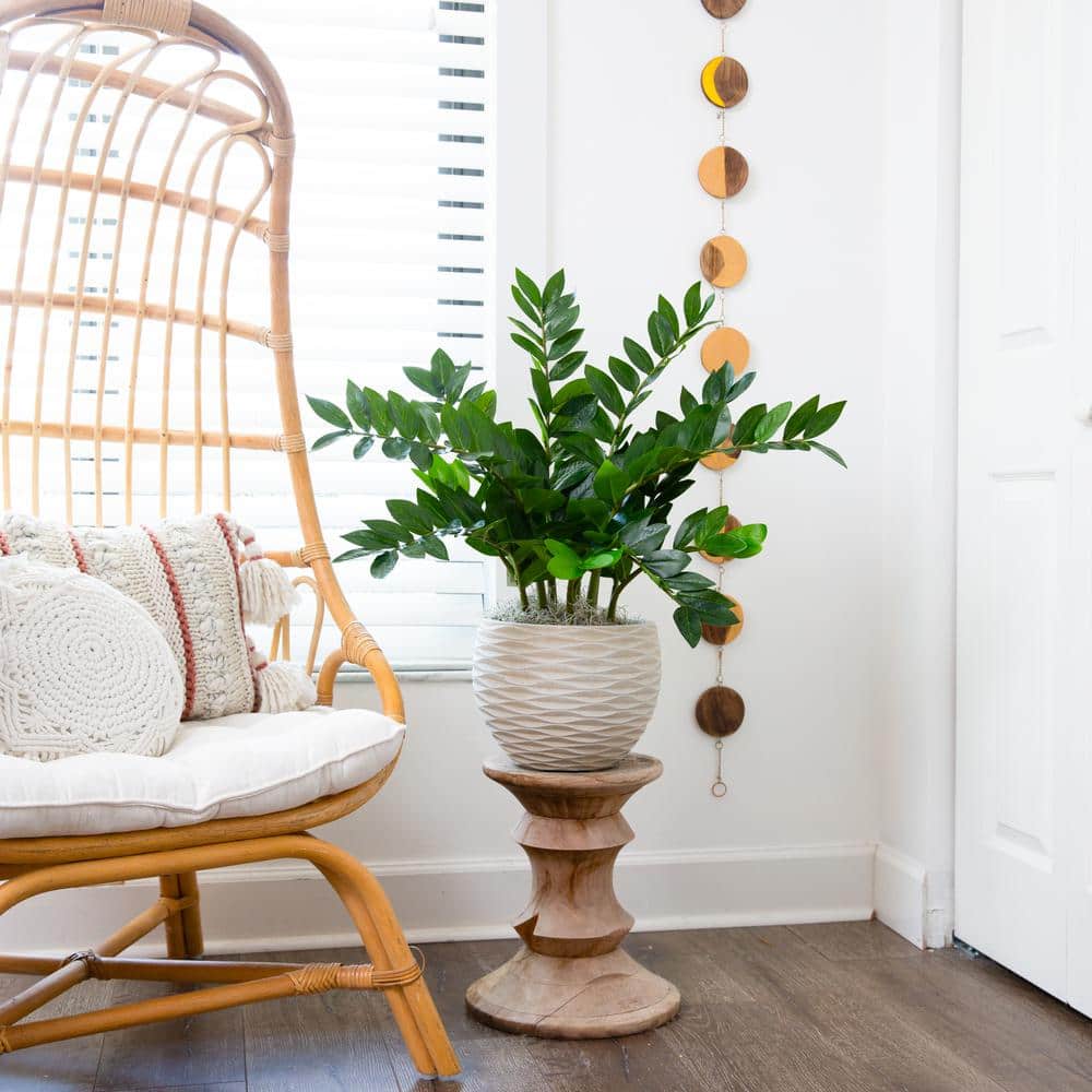 Lush Green Artificial Zamioculcas Plant in Black Pot