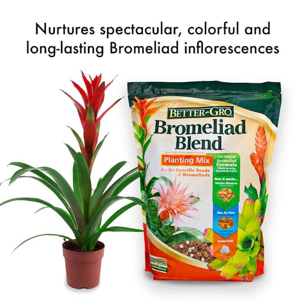 Better-Gro 8 qt. Bromeliad Blend Potting Mix Twin Pack