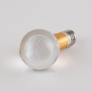 5-Watt Equivalent Atlas Globe Shaped E26/27 Crystal LED Light Bulb in Warm White (1-Pack)