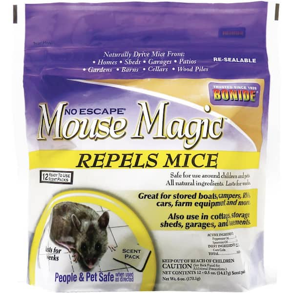 8 Homemade Mouse Repellents to Keep Mice Away Naturally