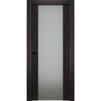 32 in. x 80 in. Avanti 202 Black Apricot Right-Hand Solid Core Wood 1-Lite Frosted Glass Single Prehung Interior Door