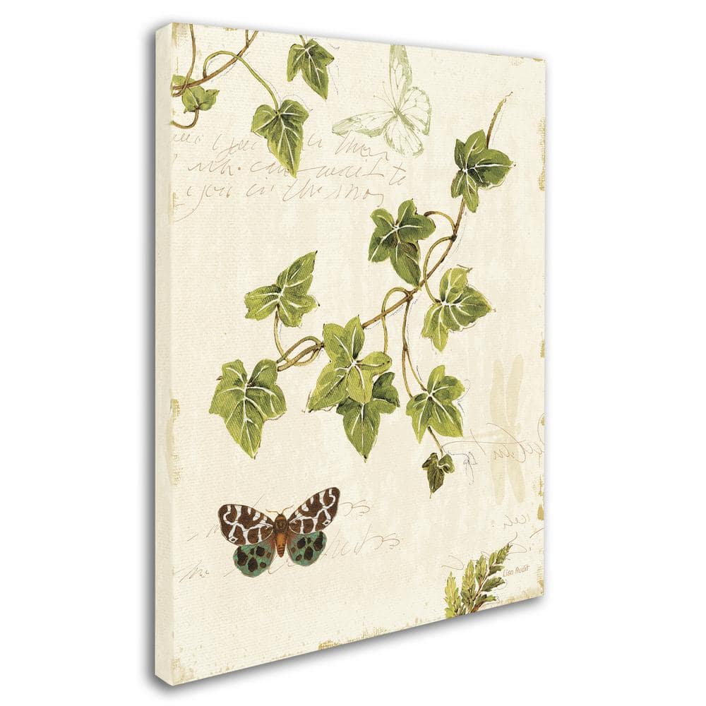 Ivies and Ferns II 14" x 19" Canvas Nature Painting