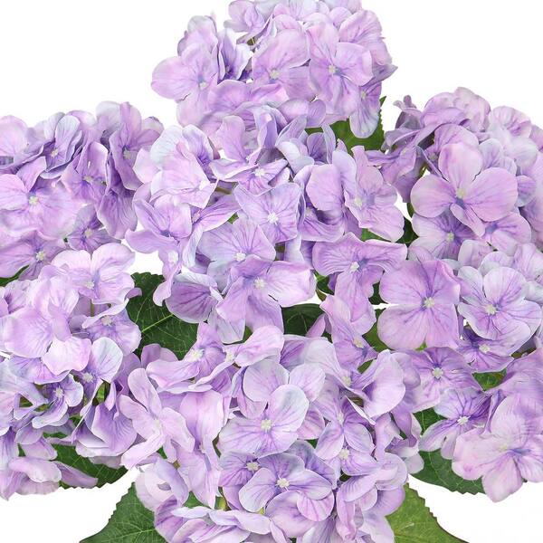 LIVING LUXURY 20 in. Deluxe Natural-Look Purple Artificial