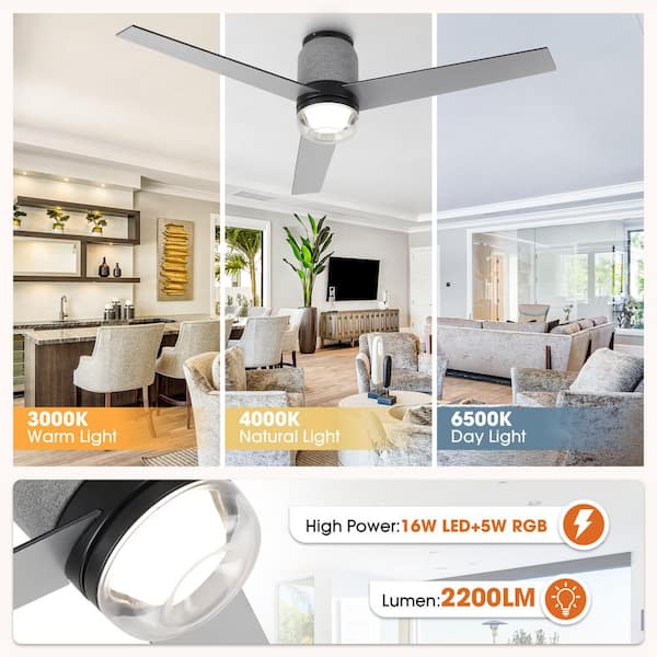 Parrot Uncle 52 in. Matte Black Flush Mount Standard Ceiling Fan