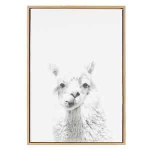 33 in. x 23 in. "Alpaca Portrait" by Tai Prints Framed Canvas Wall Art