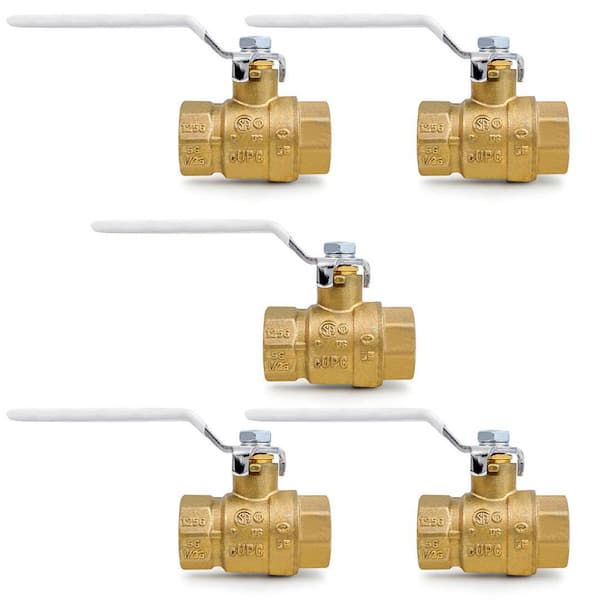 PLUMBFLEX 1 in. FIP x 1 in. FIP Premium Brass Full Port Ball Valve (5-Pack)
