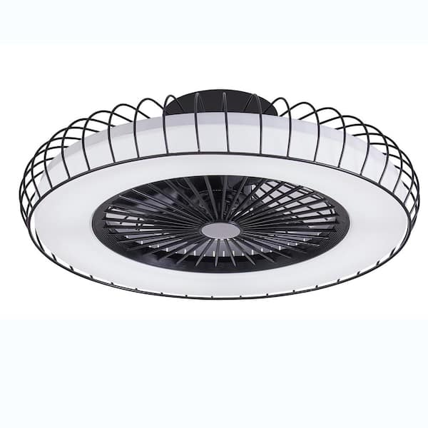 Unbranded 1.67 ft. Indoor Iron Black Ceiling Fan with Lights, Ceiling Fan with Light and Remote