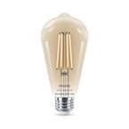 Soft White ST19 LED 40W Equivalent Dimmable Smart Wi-Fi Wiz Connected Wireless Light Bulb
