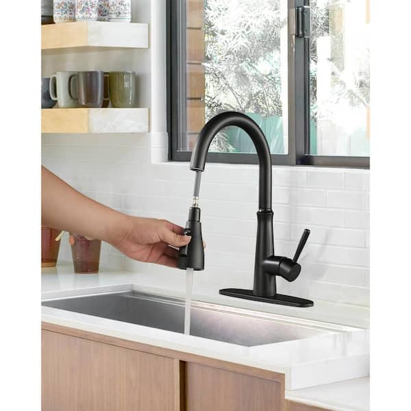 Single Handle Pull Down Sprayer Kitchen Faucet with Advanced Spray, Pull Out Spray Wand in Matte Black
