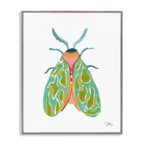 Stupell Industries Green Pattern Moth by Jessica Mingo Gray Framed Animal Giclee Art Print 20 in. x 16 in.