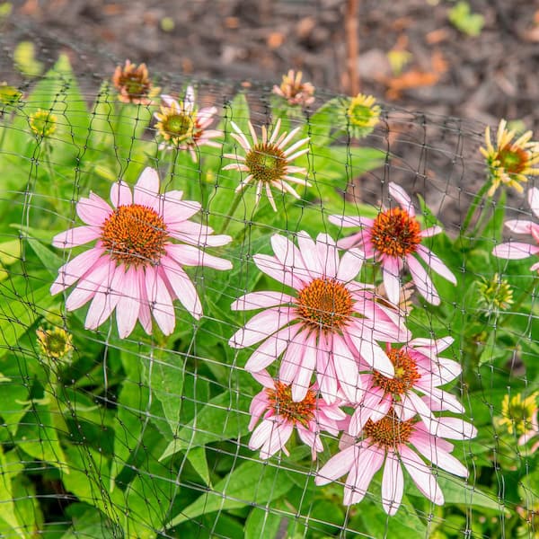 YARD GARD 150 Foot Galvanized Poultry Chicken Coop Wire Netting Mesh - View #10