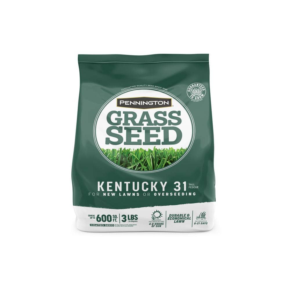 Pennington 3 lbs. KY 31 Fescue Grass Seed 100516048 The Home Depot