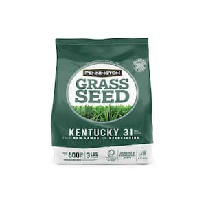 Kentucky 31 Tall Fescue 3 lb. 600 sq. ft. Grass Seed