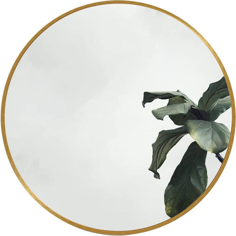 24 in. H x 24 in. W Round Brushed Aluminum Framed Gold Wall Mirror