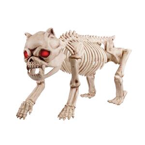 20 in Animated LED Halloween Skeleton Dog