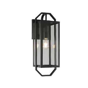 Pedley 22 in. 1-Light Coal Outdoor Hardwired Wall Lantern Sconce with Clear Glass