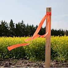 Greenes 16 in. Cedar Wood Garden Stakes (48-Pack)