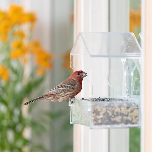 Clear Plastic Window Bird Feeder for Outside - Clear Window Bird