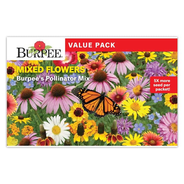 Value Pack Mixed Flowers Burpee's Pollinator Mix Seed