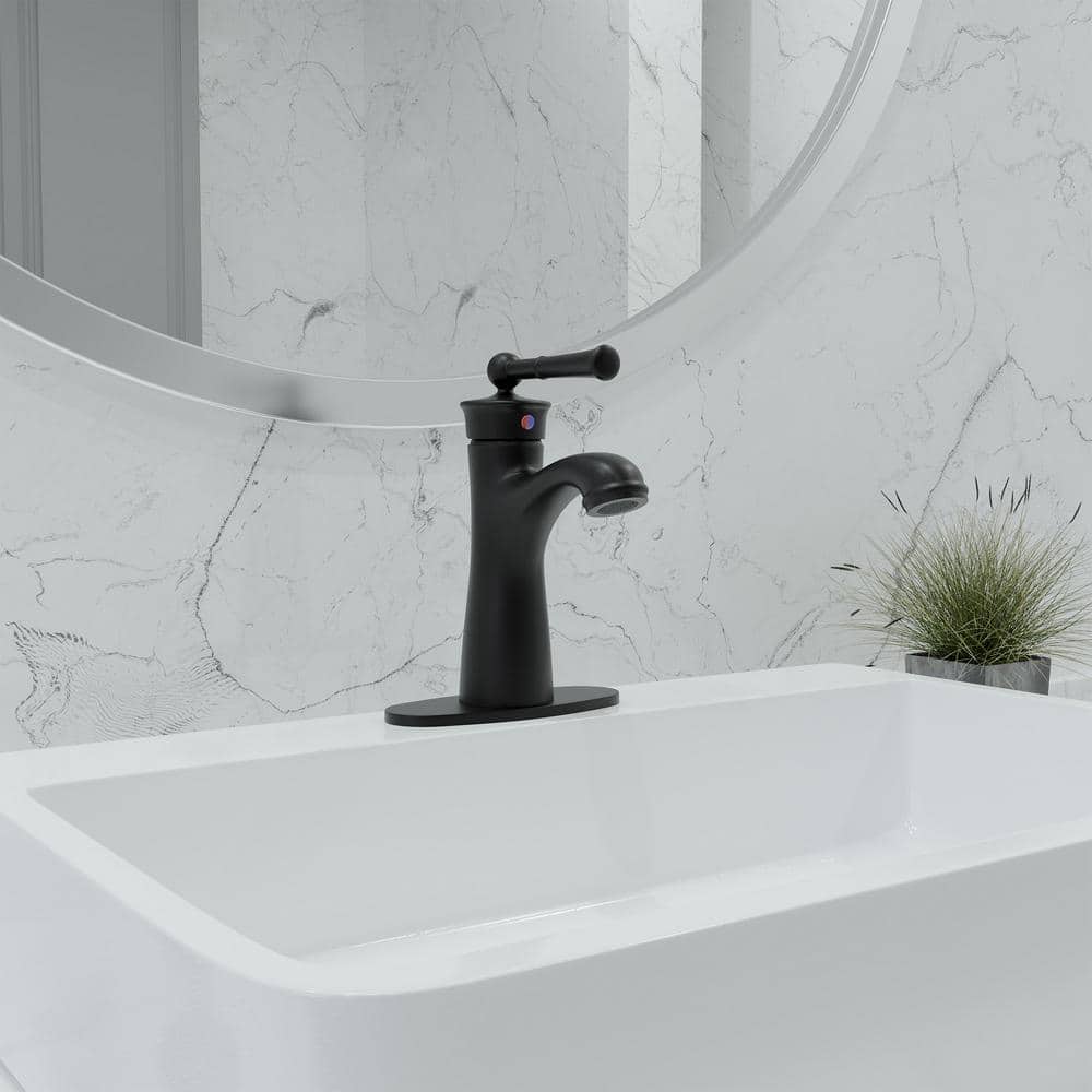 Matte Black Single Handle Bathroom Faucet with Drain Assembly