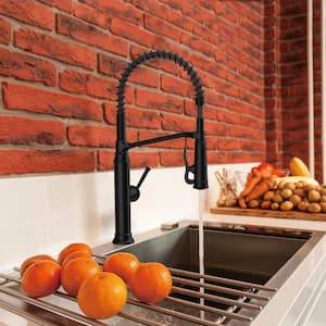 Linscott Single-Handle Coil Springneck Pull-Down Sprayer Kitchen Faucet in Matte Black