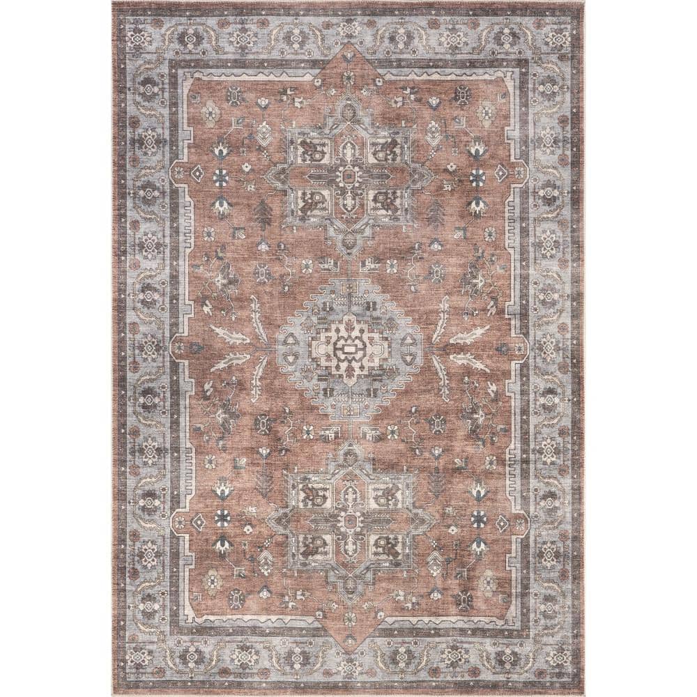 Daleyza Rust Red Cotton Medallion 5' x 8' Area Rug