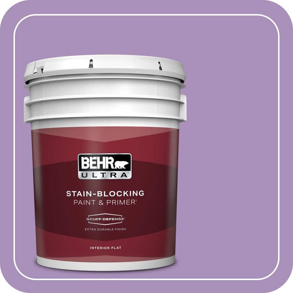 5 gal. #650B-5 Garden Pansy Extra Durable Flat Interior Paint & Primer price history on PriceWatchPro