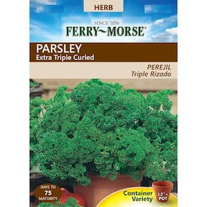 Parsley Extra Triple Curled Seed