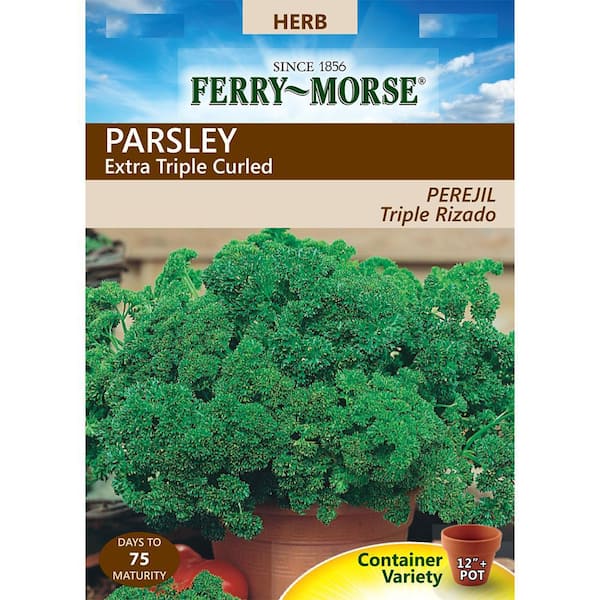 Ferry-Morse Parsley Extra Triple Curled Seed