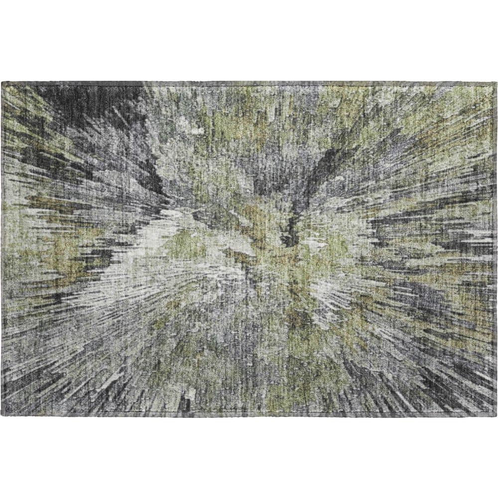 Mayfield Premium Machine Washable Abstract AMF2283 Fern 2 ft. x 3 ft. Accent Rug price history on PriceWatchPro