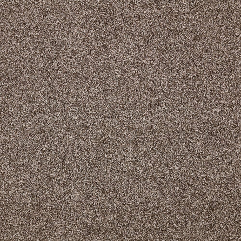 8 in. x 8 in. Texture Carpet Sample - Playful Moments II (T) -Color Lullaby price history on PriceWatchPro