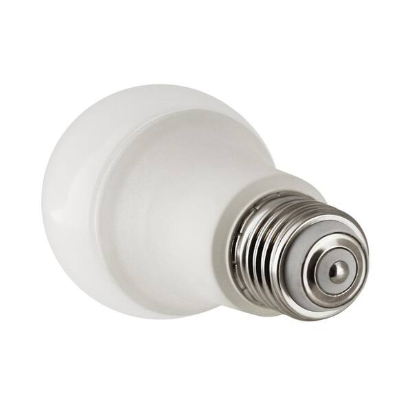 100w ses bulb