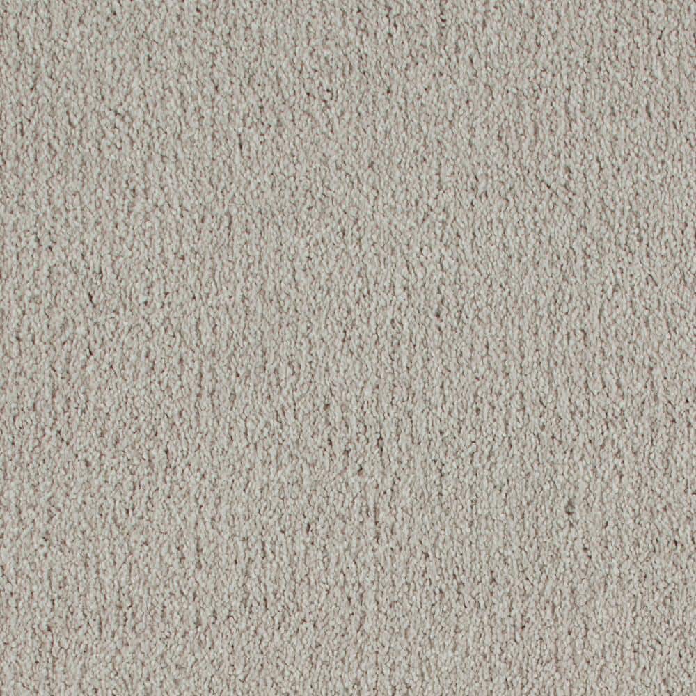 8 in. x 8 in. Texture Carpet Sample - Northern Hills II -Color Highland price history on PriceWatchPro