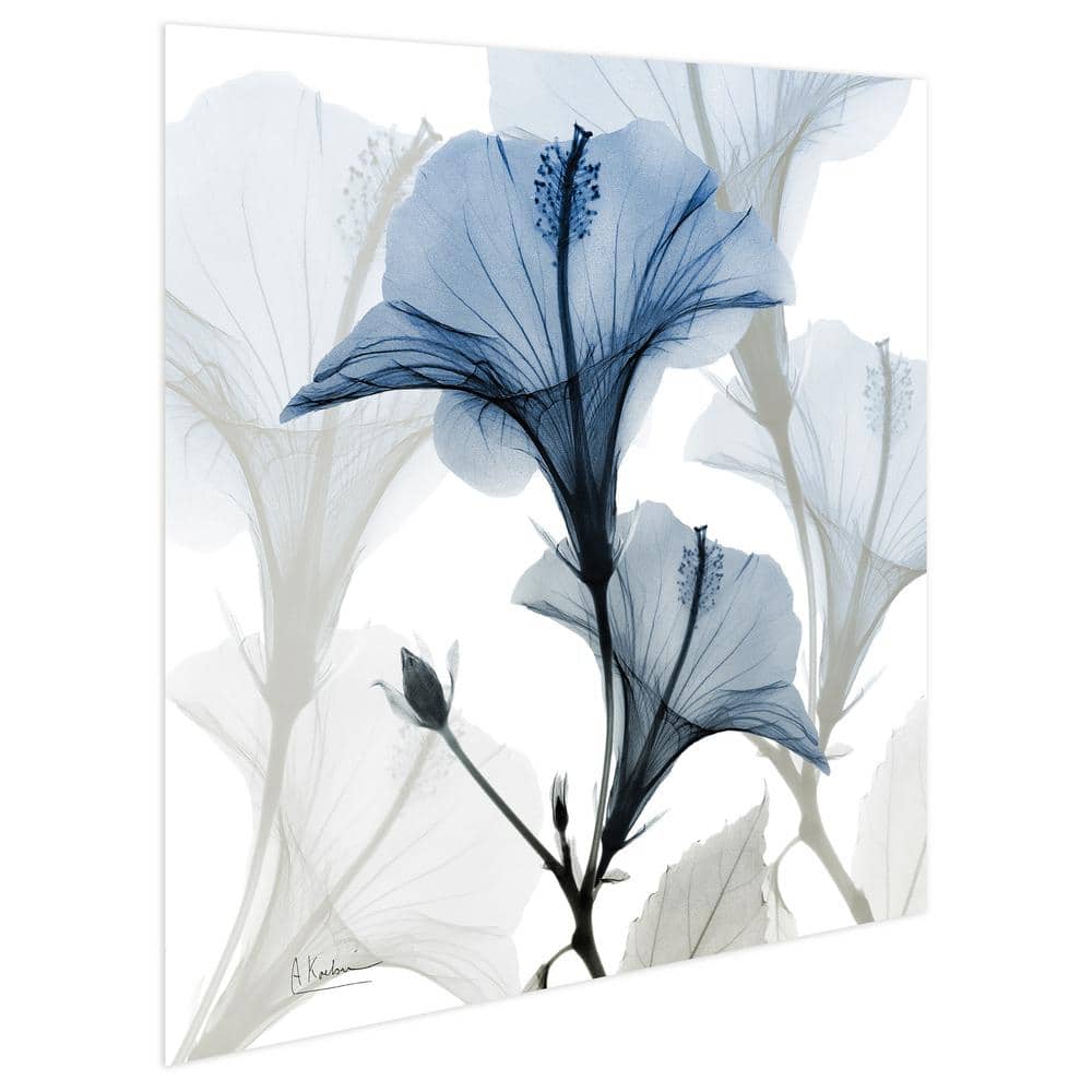 24" Blue X-Ray Floral Tempered Glass Wall Art