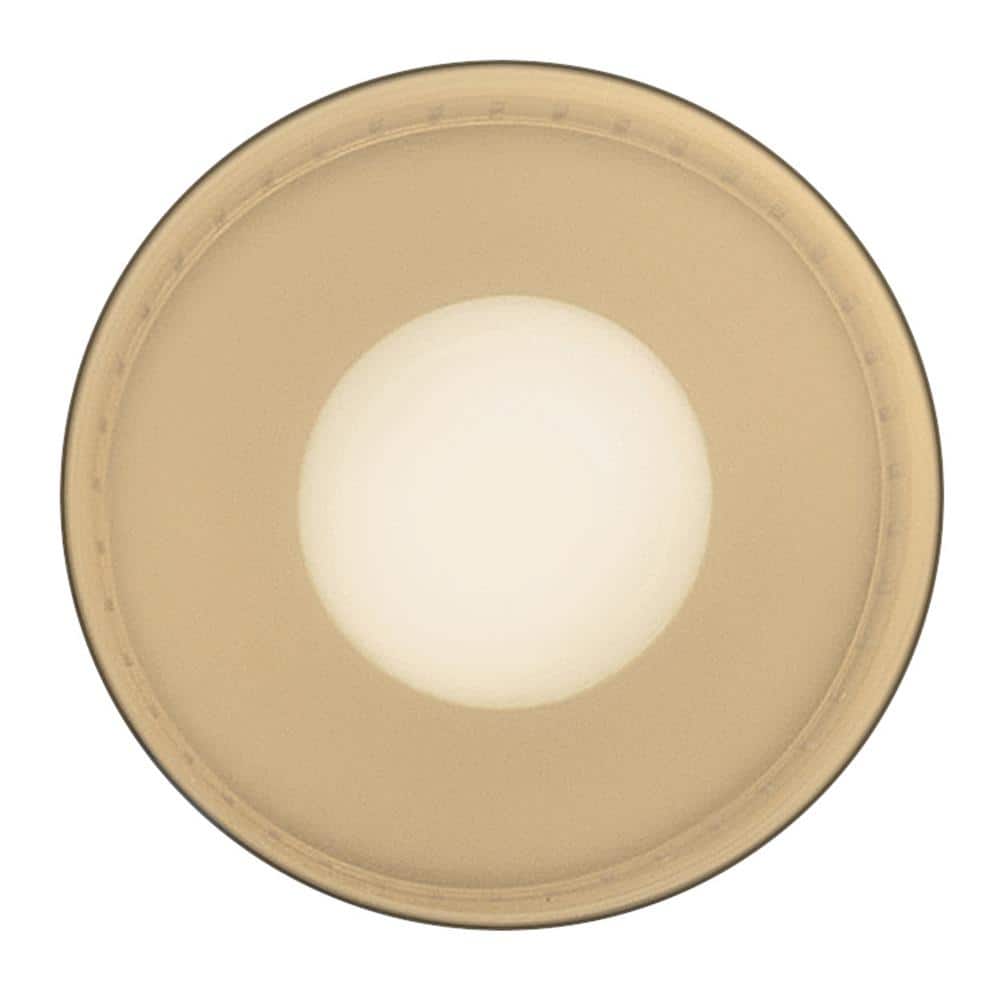 Casey 7.5 in Black Metal Drum LED Flush Mount Light