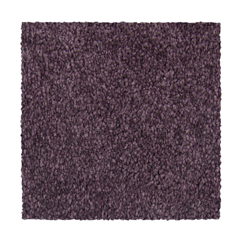 Lifeproof With Petproof Technology Hainsridge Royalty Purple 68 Oz Triexta Texture Installed Carpet 0800d 37 12 The