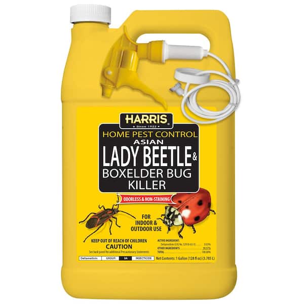 Harris 1 Gal. Asian Lady Beetle and Box-Elder Bug Killer HBXA-128 