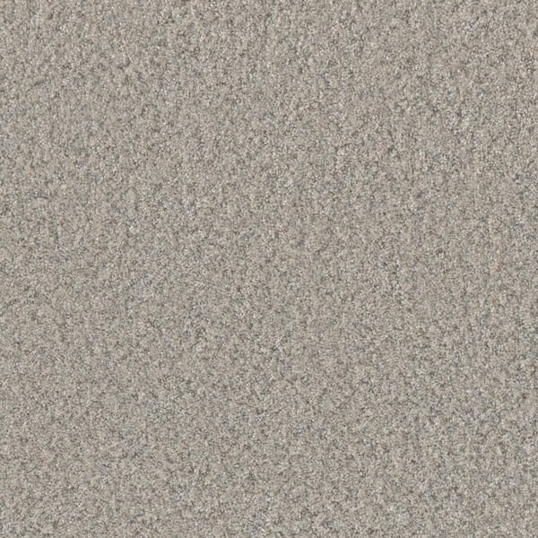 Manuscript II -Research White -55 oz. SD Polyester Texture Installed Carpet